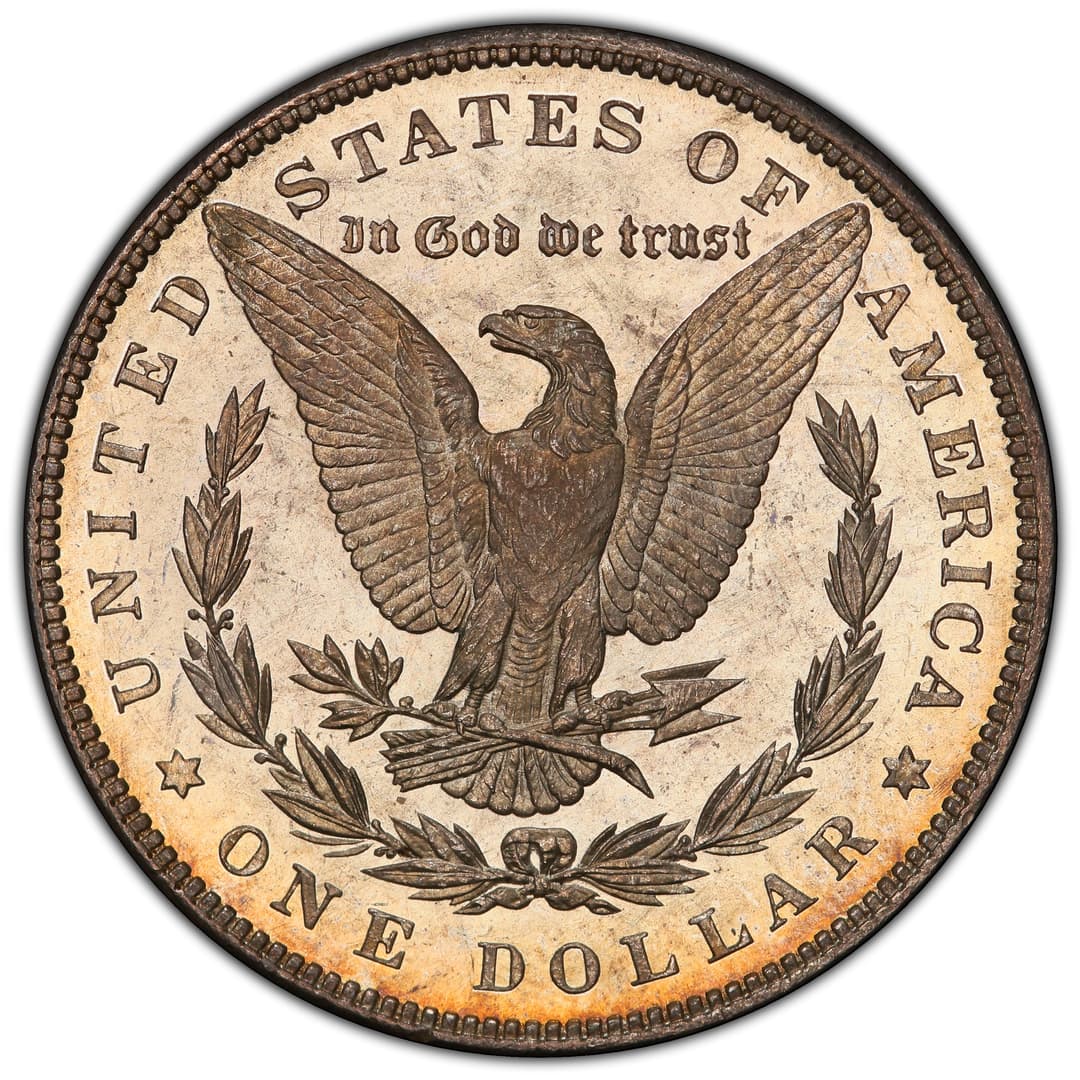 Morgan Silver Dollar Reverse